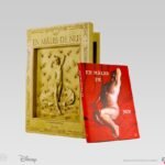 coffret en male de nu virginie greiner version collector