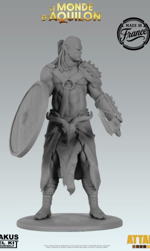  Turuk 'Bouclier' - Figurine à peindre (3 versions) - Elfes - Le Monde d'Aquilon