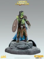 Diorama des boucliers - Elfes - Le Monde d'Aquilon – Image 3