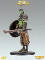 Turuk 'Bouclier' - Elfes - Le Monde d'Aquilon