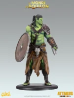 Turuk 'Bouclier' - Elfes - Le Monde d'Aquilon – Image 2