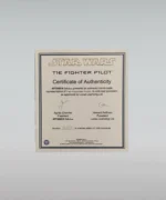 Tie Fighter Pilot n°0004/1500 - Échelle 1/5e – Image 9